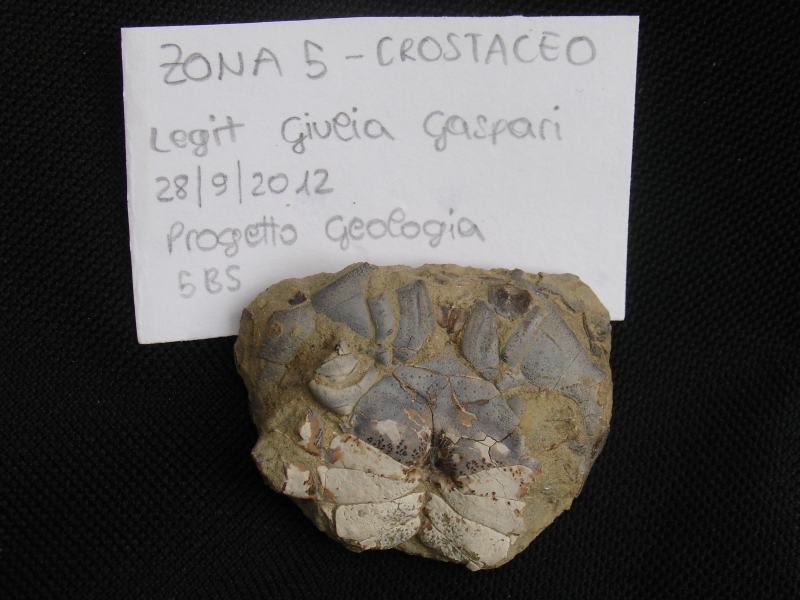 Uscita geologica sul Monte Baldo